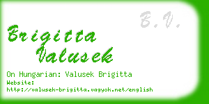 brigitta valusek business card